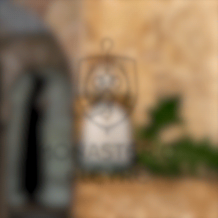 Nueva marca Monasterio de Leyre